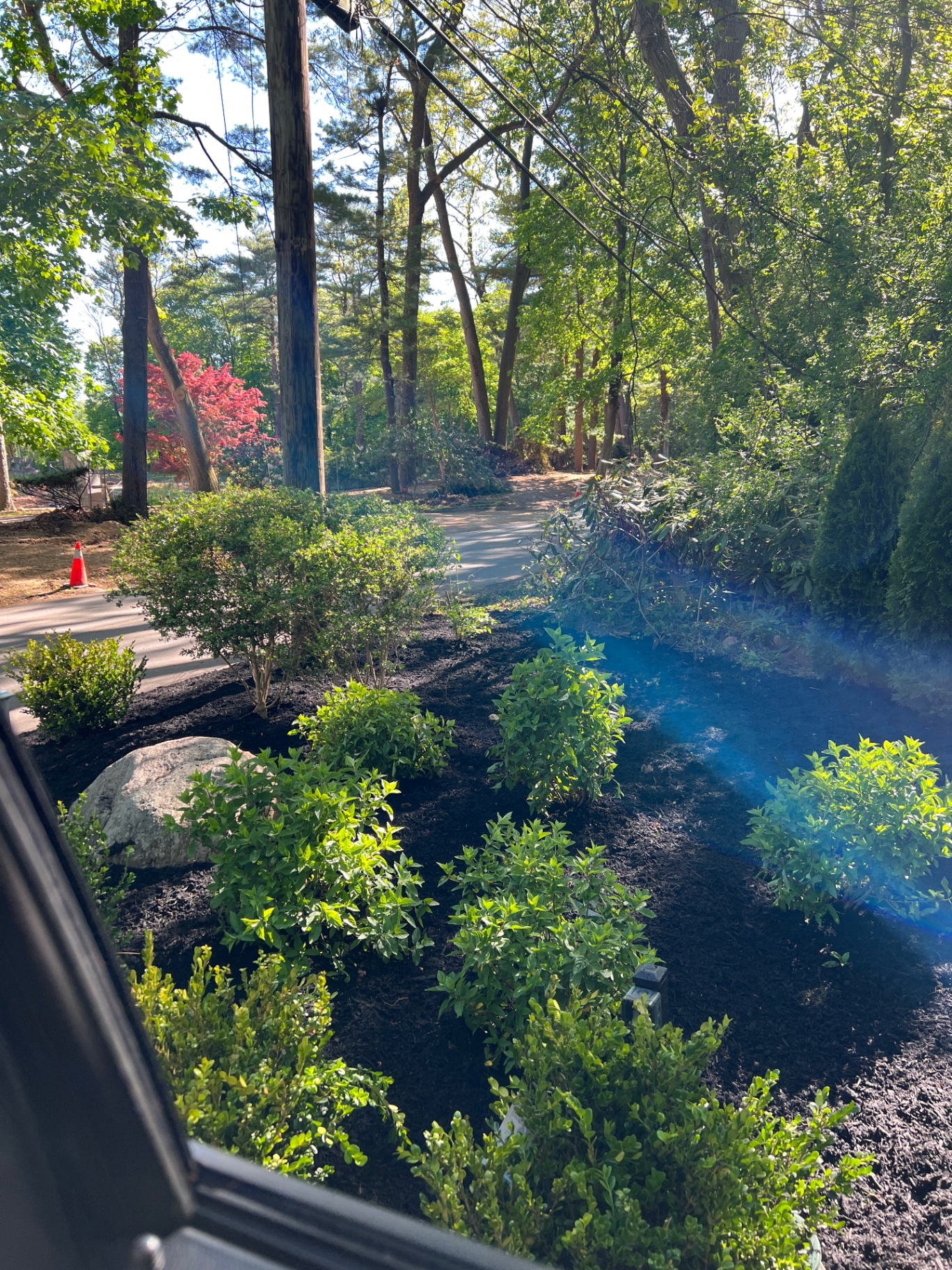 Fresh mulch bed with new plantings along driveway